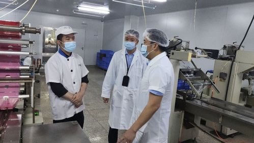 强监管 护稳定 杏坛实现食品生产企业安全检查与室内环境治理全覆盖