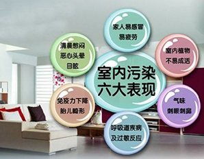 专业守护，健康呼吸——弋风供室内环境检测治理服务